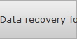 Data recovery for Bellevue data